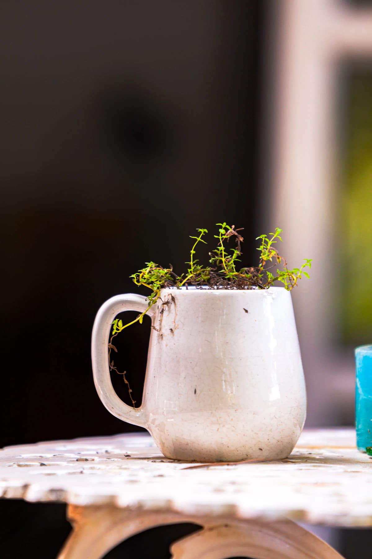 Representative photograph of a ceramic planter